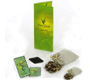 Refill Absinthe Kit